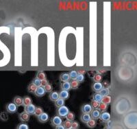 Nano-manipulations of cells